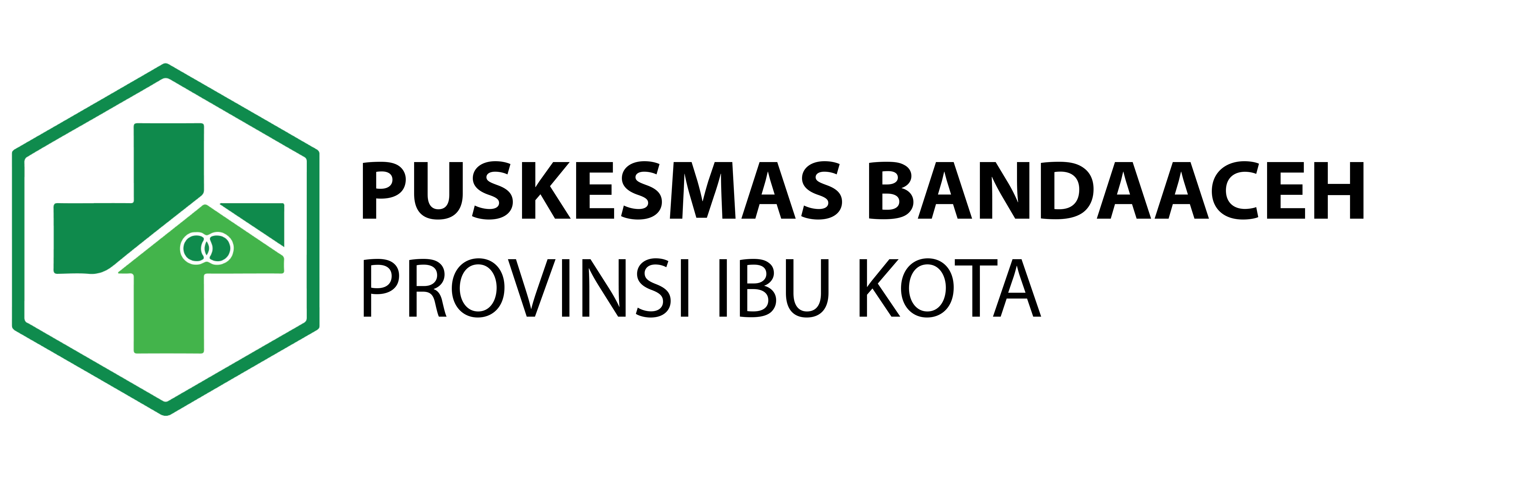 Logo Puskesmas